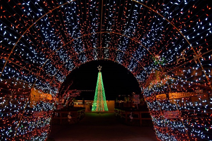 Christmas Light Displays Christmas Light Displays