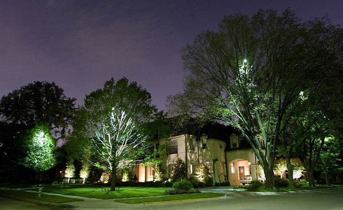 Tree Lighting Techniques Every Homeowner Should Know Tree Lighting Techniques Every Homeowner Should Know