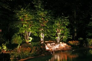 Why Landscape Lighting for Trees Matters Why Landscape Lighting for Trees Matters