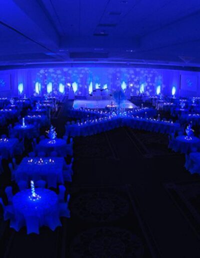 Wedding lights (5)