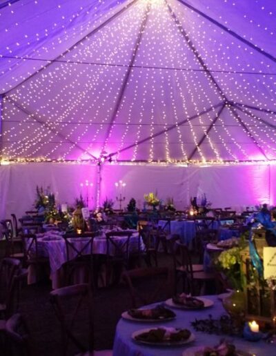 Wedding lights (9)