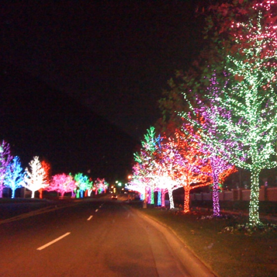 bad7240a00d3a3c276e65bdde24d3862