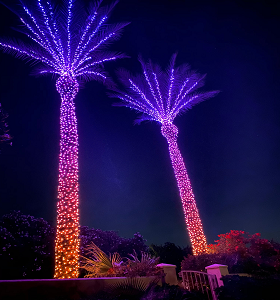 download 2025 10 23T180429.769