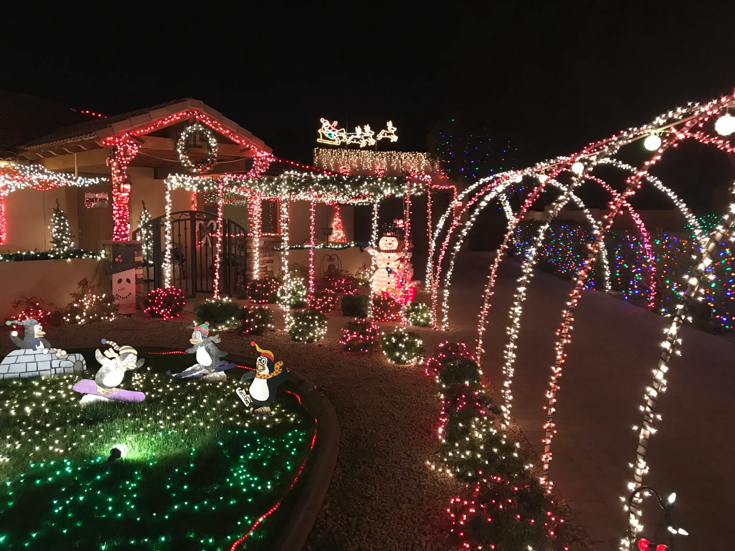 img 5113 original scaled