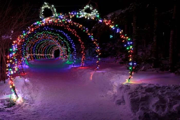 Color, Brightness, and Balance Design