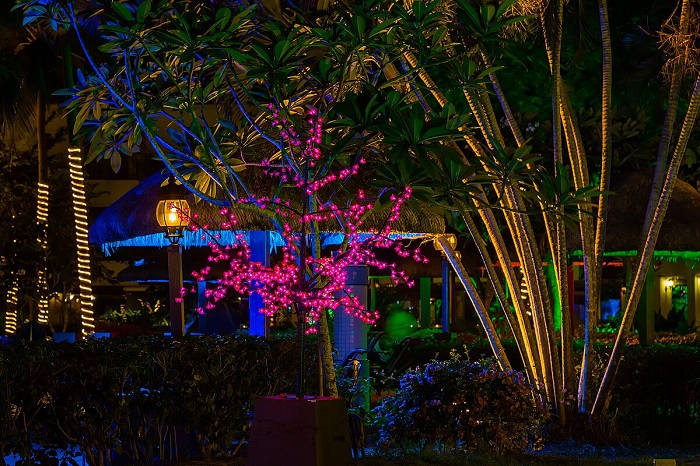 Key Water Features That Deserve Illumination