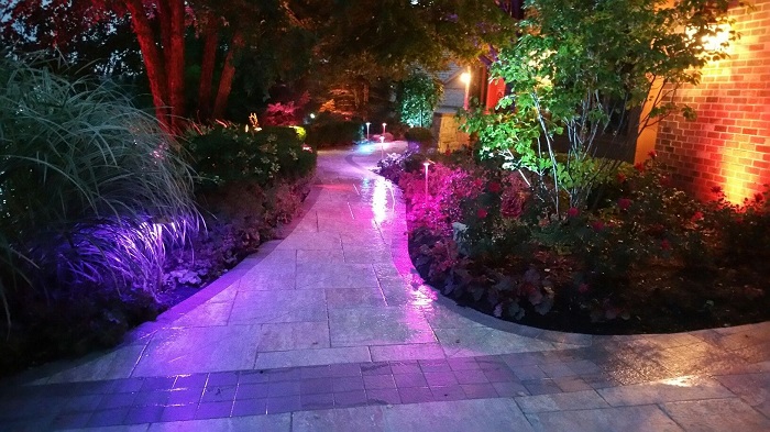 Outdoor Applications Transforming Your Landscape at Night