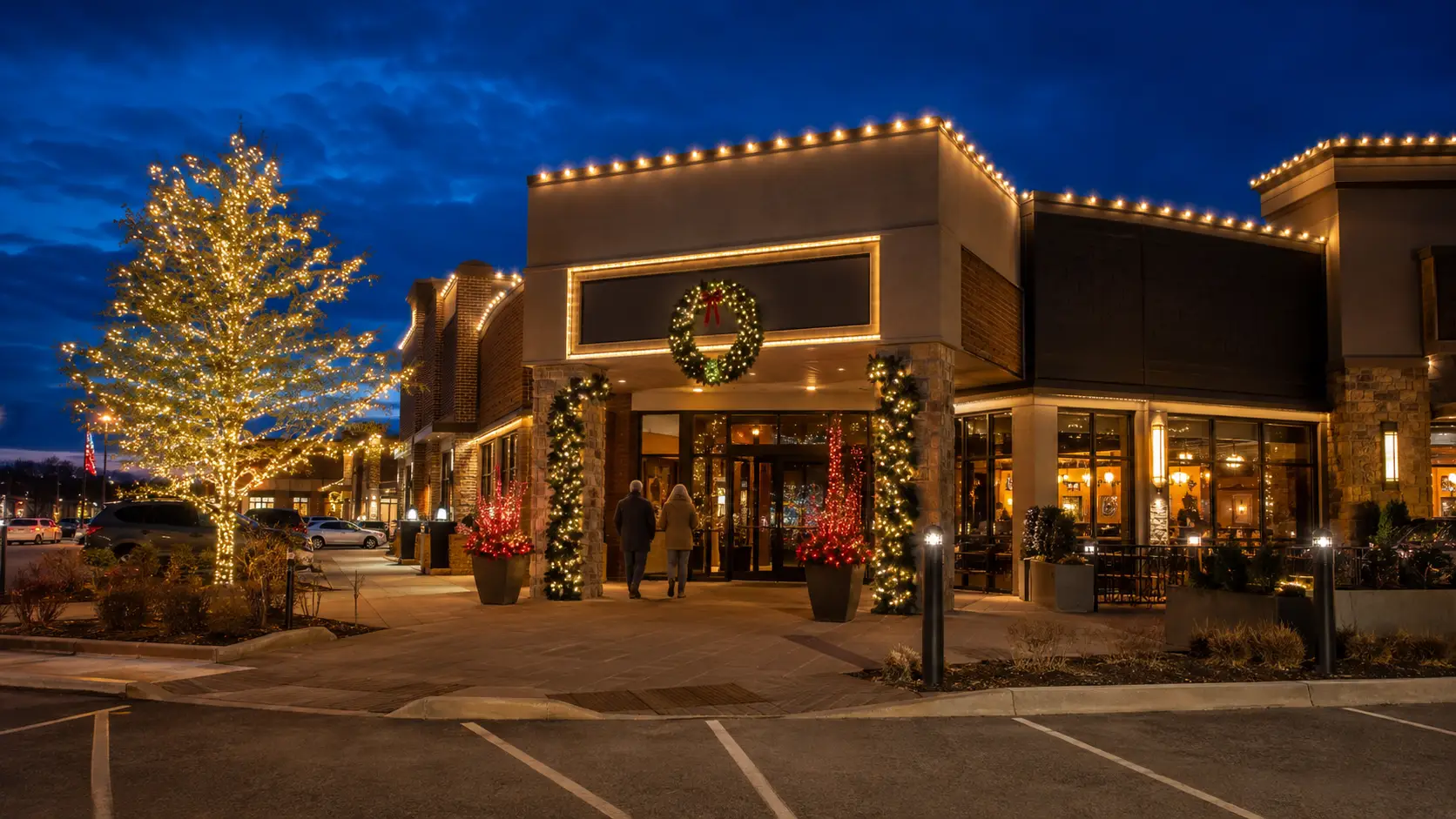 Last-Minute Christmas Light Installation